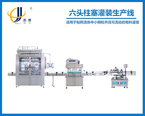 六頭柱塞灌裝生產(chǎn)線